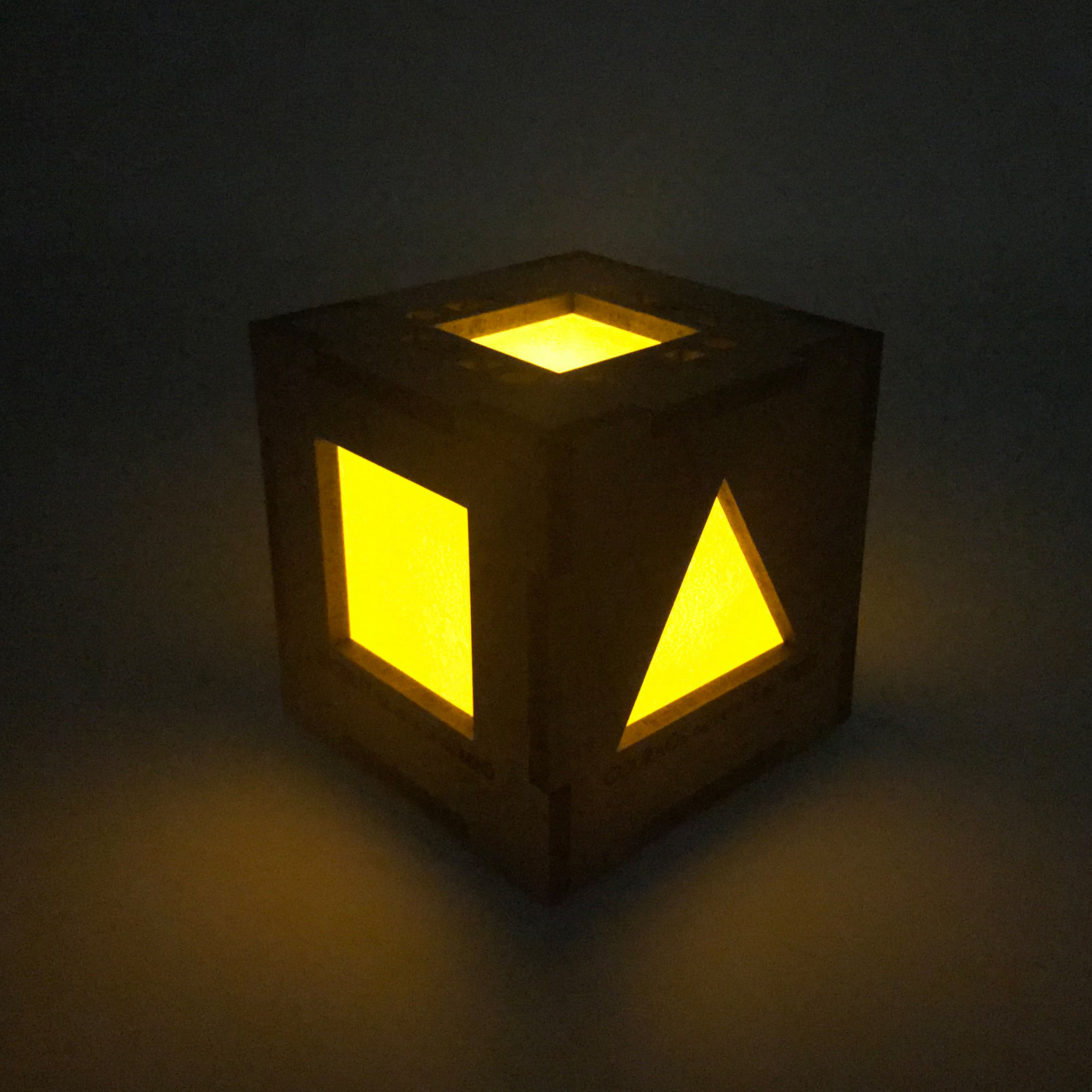 Organic Commandment Cube Light