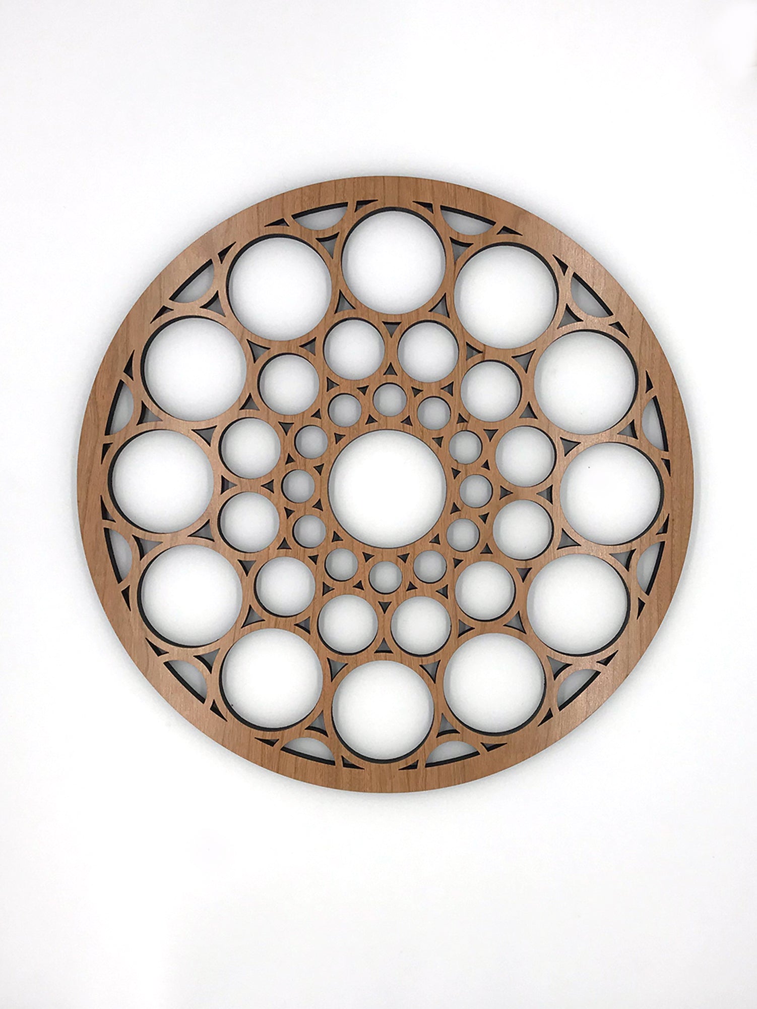 SC Johnson Medallion